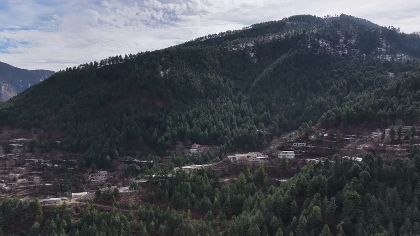 Aerial view of Lush green trees covering a hillside with a clear sky and a hint of distant mountains in the background landscape