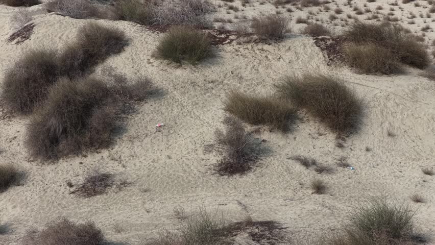 Aerial view of Sparse vegetation covering a sandy terrain with various shades of brown and green plant life scattered across the area