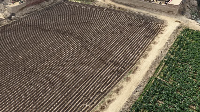 Aerial view of a landscape featuring two circular structures near a field with distinct rows of crops and greenery