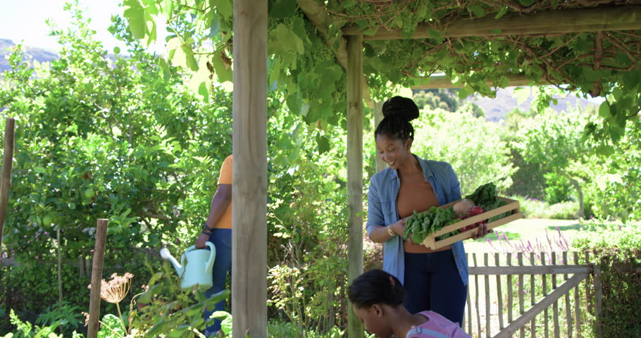 African American family working under arbor woman arriving with crate helping youth picking carrots. Backyard, pergola, trellis, vegetables, harvest, sunlit, outdoor