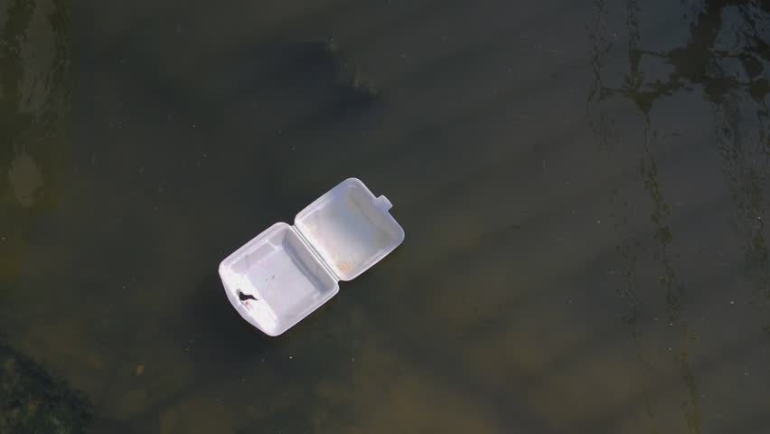 floating discarded styrofoam food container polluting water, environmental pollution concept, plastic waste, consumer behavior, water contamination and ecological impact