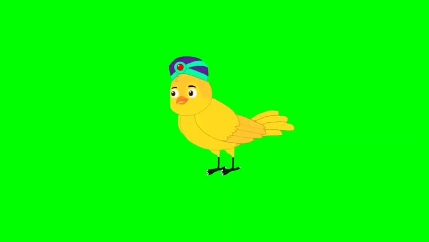 Bird talking cartoon characters with green screen video animation with chroma key 