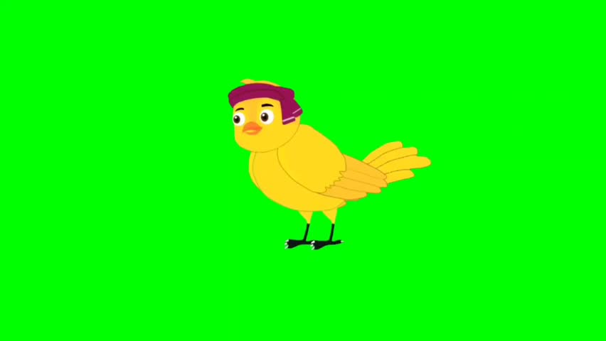 Bird talking cartoon characters with green screen video animation with chroma key 