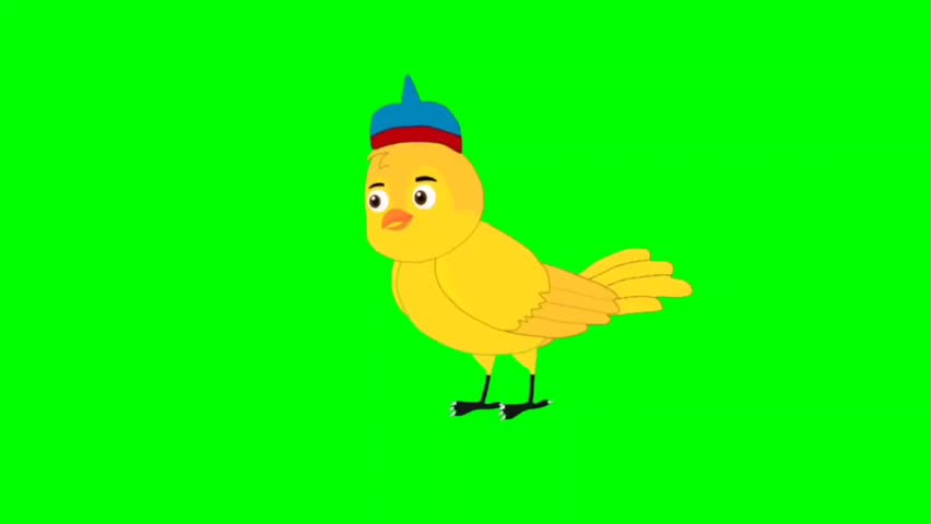 Bird talking cartoon characters with green screen video animation with chroma key 