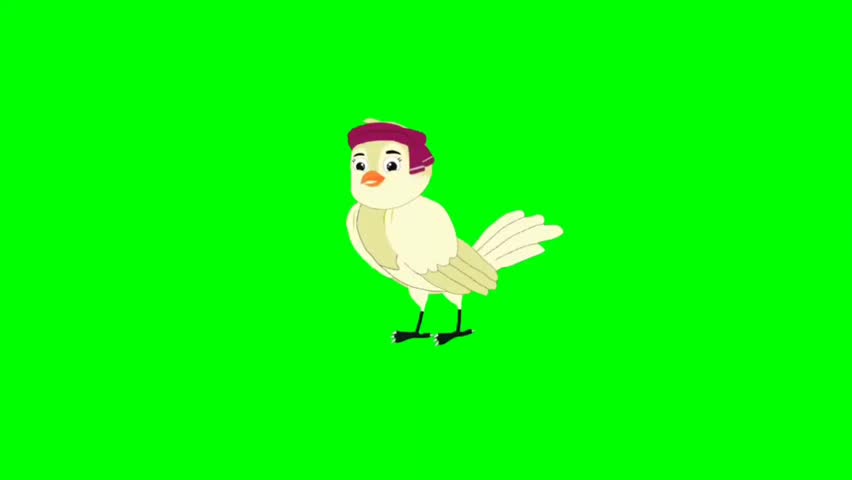Bird talking cartoon characters with green screen video animation with chroma key 