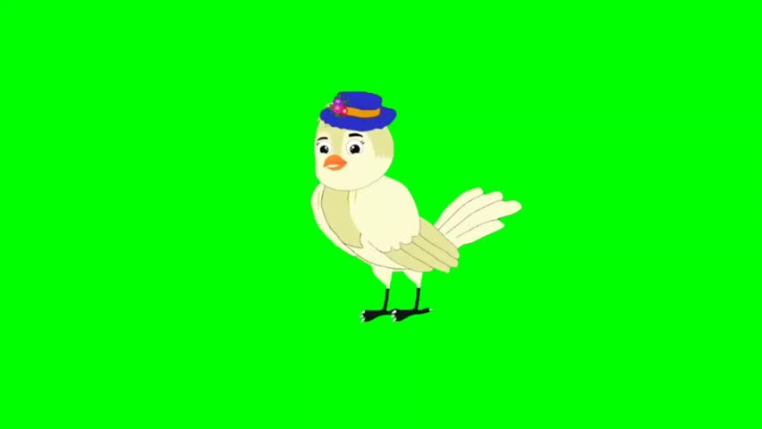 Bird talking cartoon characters with green screen video animation with chroma key 