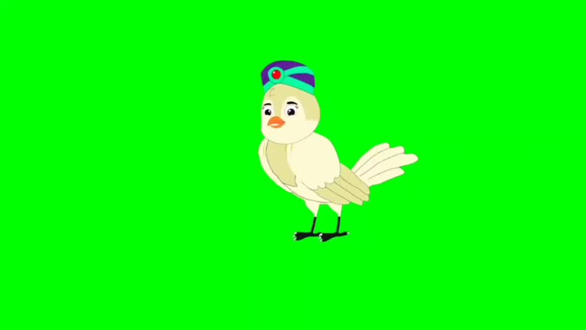 Bird talking cartoon characters with green screen video animation with chroma key 