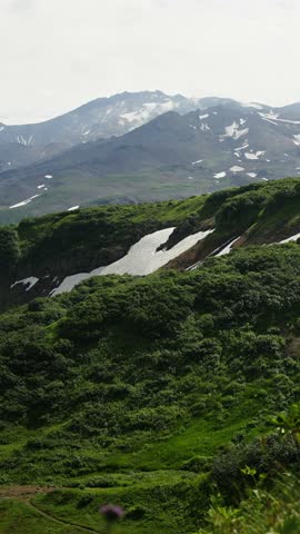 Lush green mountain valley with distant rugged peaks and lingering summer snow patches transitioning to close-up wild grasses and alpine plants in soft focus