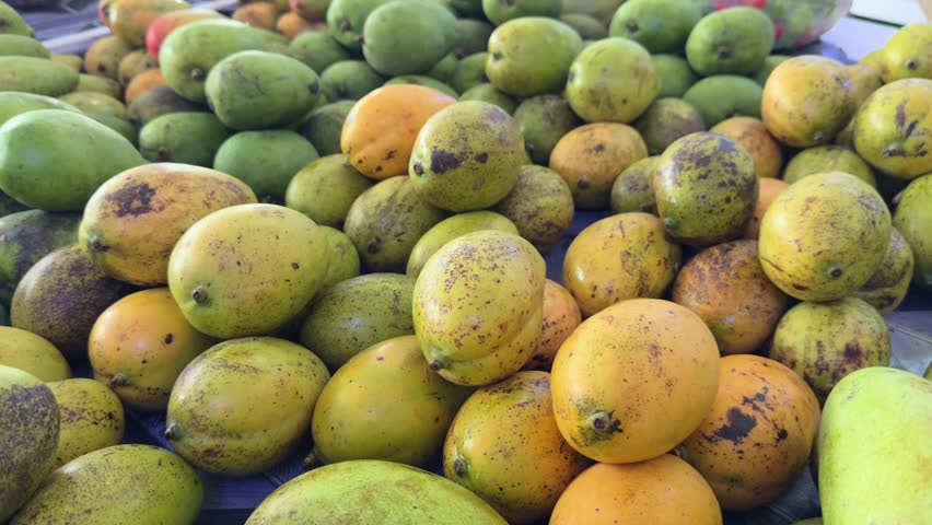 Mix of ripe and green mangoes in town market, Mahe, Seychelles 30fps