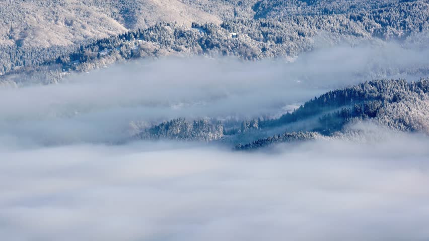winter timelapse of slow rolling fog over a snowy mountain forest.