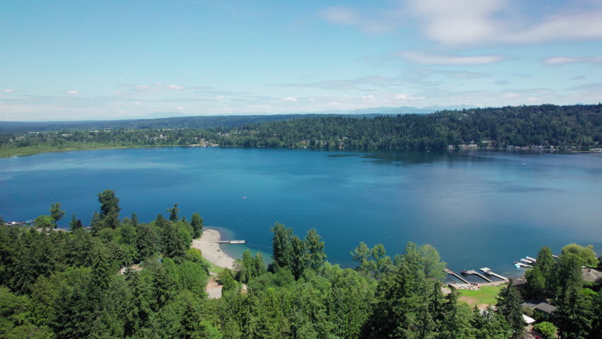 Green Trees and Blue Lake Water Aerial Background