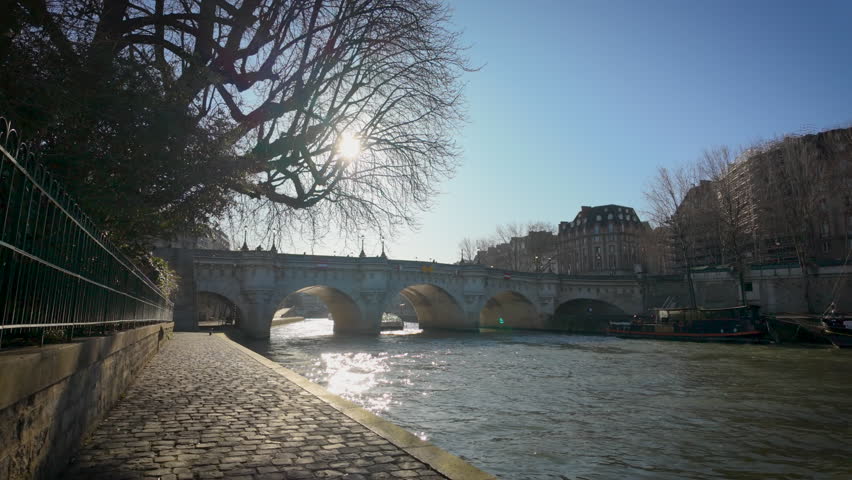 Le Pont Neuf and the docks in the heart of Paris