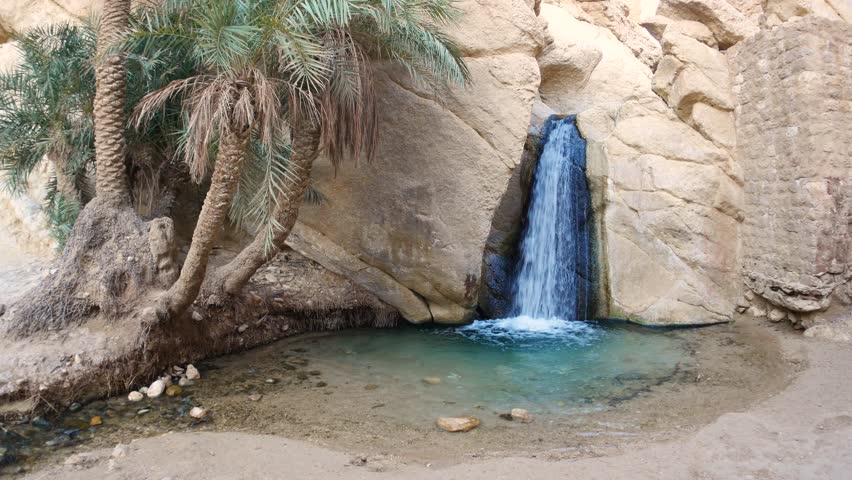 Chebika mountain oasis in Tunisia featuring small waterfall cascading into clear turquoise pool surrounded by palm trees and rocky canyon walls, highlighting desert tranquility and natural beauty