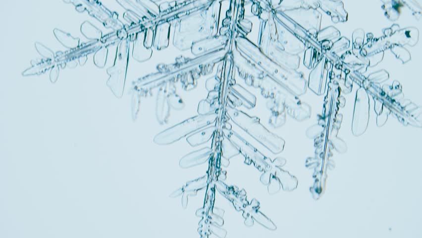 Snowflake ice crystal under microscope brighfield