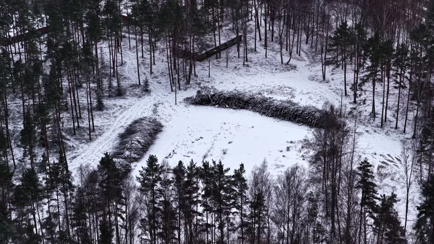 Snowy forest terrain featuring cleared sections with large piles of cut wood. Preparing timber for industry