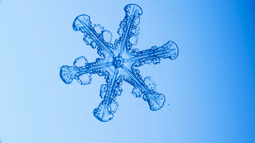 Snowflake ice crystal under microscope brightfield with blue filter