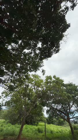 Walking on dirt trails, hiking, body movement, adventure.