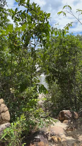 Walking on dirt trails, hiking, body movement, adventure.