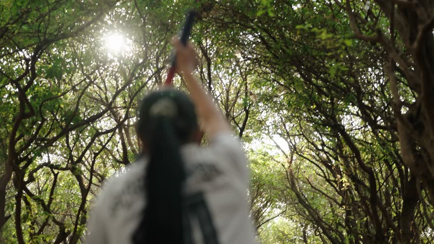 Lady paddles through flooded forest in Cambodia during sunset