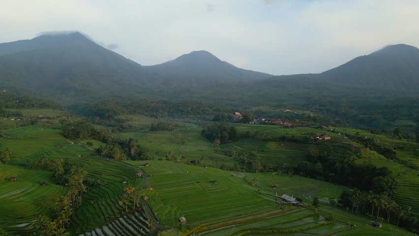 Smooth aerial drone footage of the Jatiluwih rice terraces in Bali Indonesia with mountains in the background showing tropical farmland and scenic landscape.