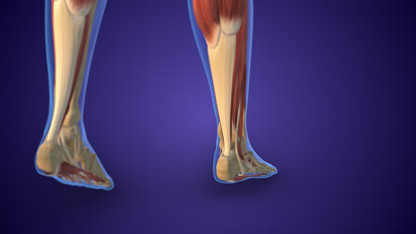 Achilles Tendon Injury with Pain Highlight in Human Ankle