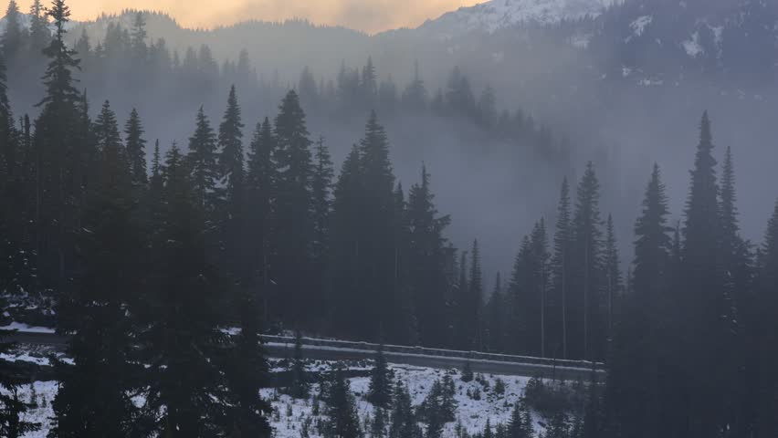Scenic landscape of foggy sunrise over a snowy mountain range with a pine tree forest reflecting in a still lake at Mount Rainier national park in Washington state. 