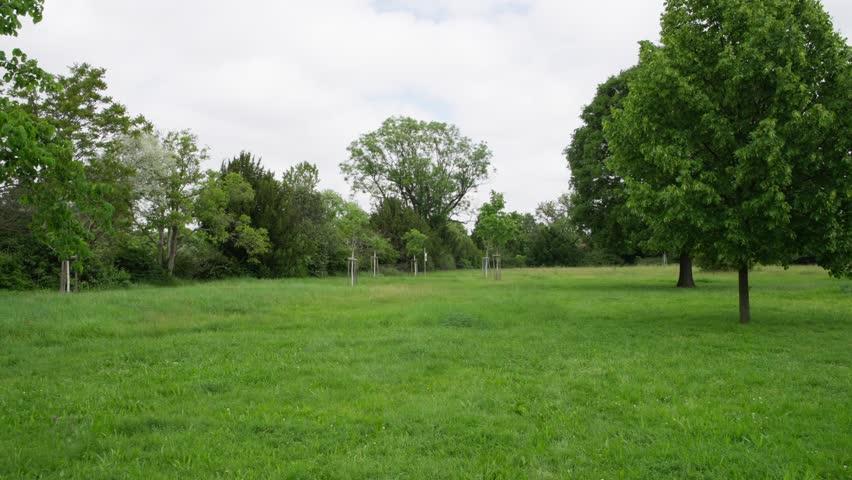 Park meadow pan forward and slightly right across lush grass and mixed deciduous trees, likely oaks and maples, in a calm suburban green space on an overcast day.