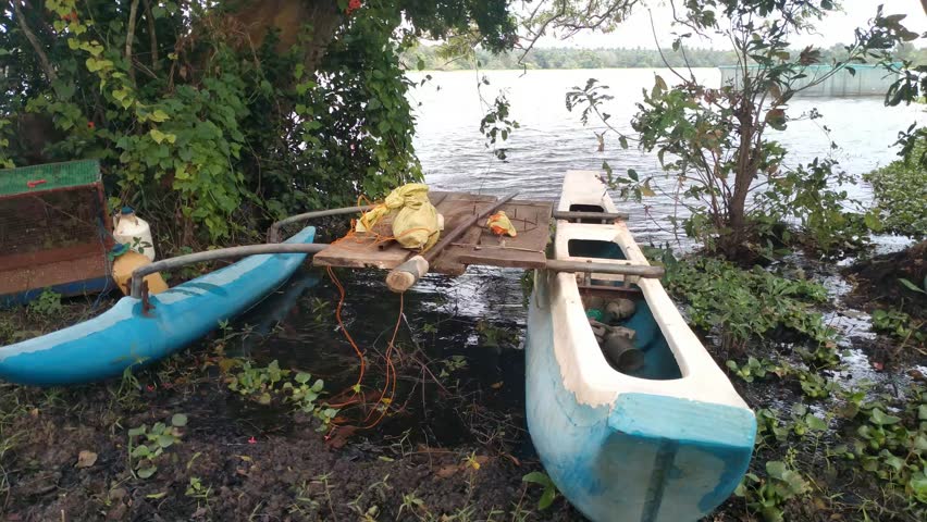 Traditional Fishing Canoes Moored on Calm Lake Shore in Tropical Village, Sri Lanka