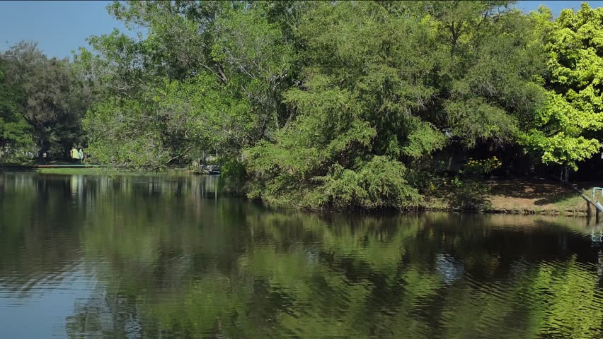 park with trees and a pond.