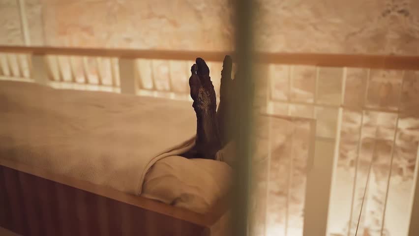 The mummy of Tutankhamun displayed inside his original burial chamber in the Valley of the Kings, located in Luxor. The tomb of the young pharaoh is one of the most significant archaeological discoveries of ancient Egypt.