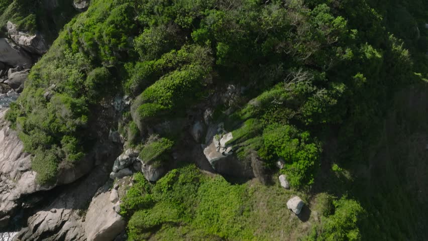Aerial shot of Snake Island (Brazil)