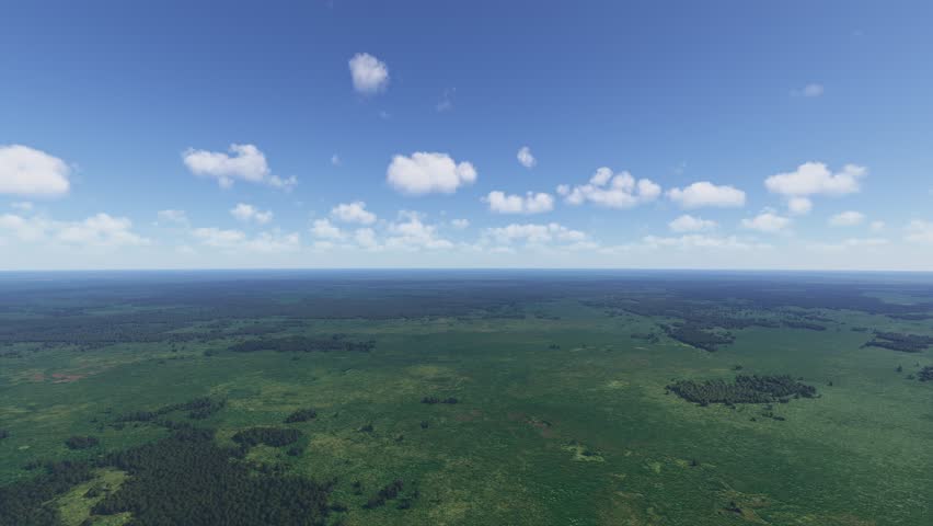 3D - Aerial drone view of Okefenokee Swamp Georgia. United States