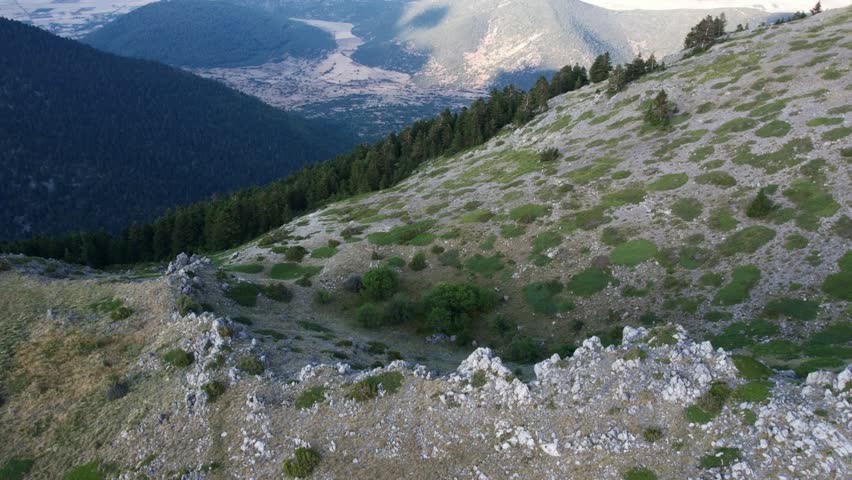 Steep rocky mountain slope meeting dense fir forest above fertile plain