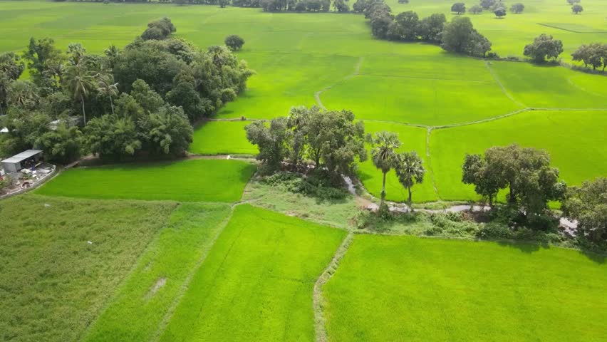 Beautiful countryside view with lush green fields and trees during spring season. Natural peaceful outdoor scenery.