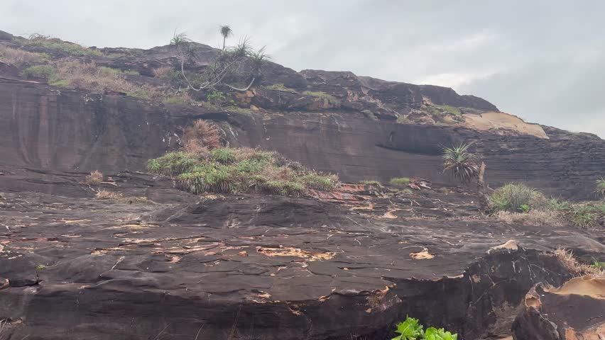 A rocky cliffside with sparse vegetation and an overcast sky.