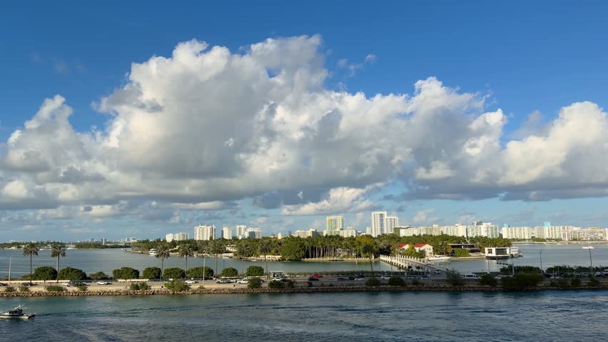Miami South Beach skyline featuring modern buildings, numerous tropical palm trees, cars driving on E Port Boulevard, and boats docked in the blue water on a sunny day