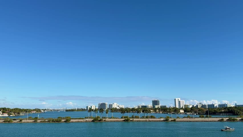 Miami South Beach skyline featuring modern buildings, numerous tropical palm trees, cars driving on E Port Boulevard, and boats docked in the blue water on a sunny day