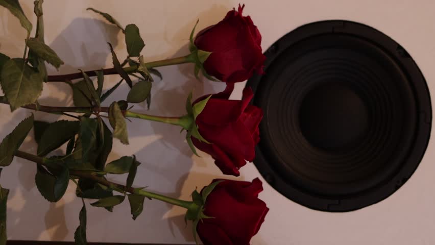 The speaker system produces a powerful bass that makes the rose petals shudder and sway.