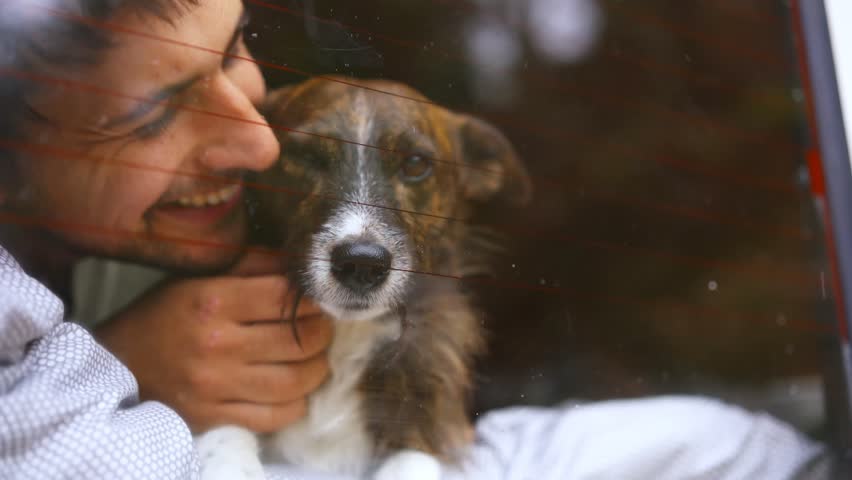 Man with dog inside a camper van looking by the window seen from outside