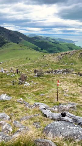 Hiker explores lush hills of Montgomery Peak, Akaroa Peninsula, New Zealand
