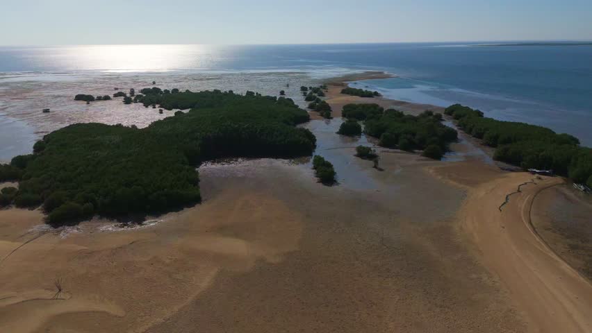 Aerial drone shot showcasing the unique sandbar, lush green mangroves, and tourist huts of Luli Island in Honda Bay, Puerto Princesa, Palawan. A popular island hopping destination