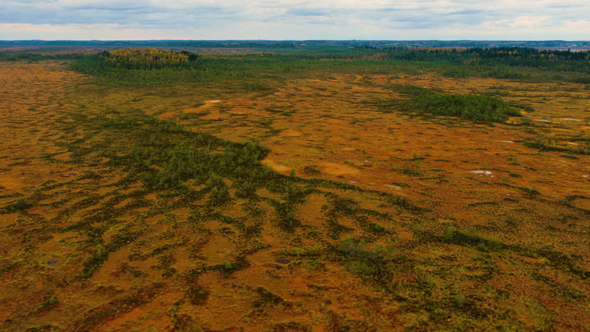 Drone flying over a large marshland area full of vibrant autumn foliage, Finland