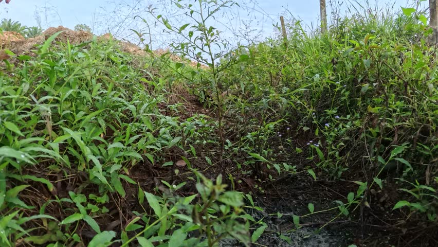 Landscape footage of the dry season ditch drainage system scene at the plough land.