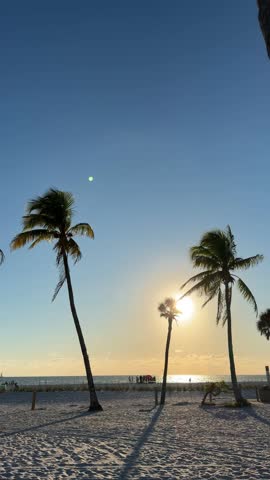 People enjoying at Fort Myers Beach at the sunset time with palm trees on Estero Boulevard