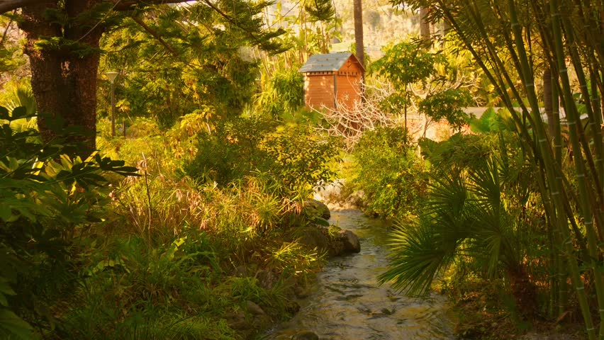 Lush garden scene in Monaco