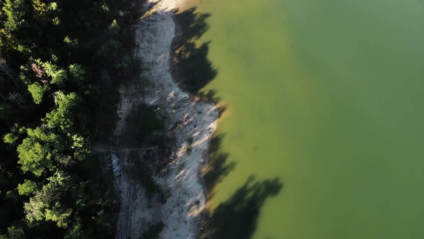 Top down aerial view of forest shoreline meeting calm green lake water, with trees casting long shadows on the sandy bank in summer, creating natural contrast and abstract landscape patterns