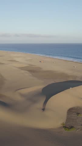 Scenic drone shot of golden dunes and coastline in Maspalomas, Gran Canaria, a classic beach getaway. Vertical aerial.
