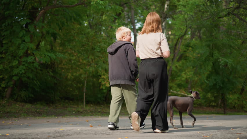 White Woman And Boy Walking Dog Together Down TreeLined Road, Leisurely Neighborhood Stroll With Relaxed Pet On Leash, Casual Conversation And Natural Scenery, Autumn Light And Slow Pace