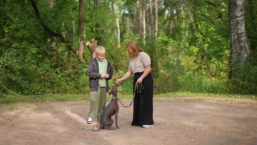 White Boy And Woman Practicing Leash Training With Dog On Open Dirt Clearing, Concentrated Cues And Steady Hands Control Movement, Attentive Pet Responds To Calm Direction Amid Trees