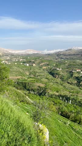 Lebanese landscape featuring majestic cedar forests in the foreground, with snow-capped mountain peaks rising majestically in the distance under a clear blue sky.